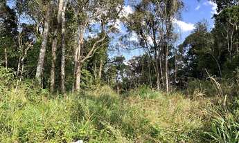 Imagem 3: São Lourenço da Serra - Terreno Padrão - Despésio