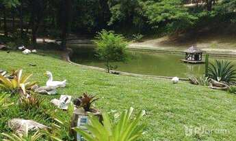 Imagem: Vista deslumbrante. Parque Guinle. Apartamento