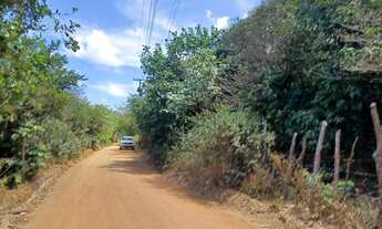 Imagem 4: TERRENO À VENDA NA PRAIA DA PIPA