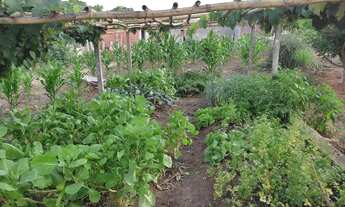 Imagem 6: Chácara em Porangaba