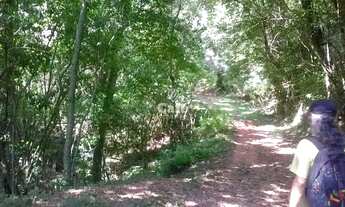 Imagem 4: Santa Maria - Fazenda - Camobi