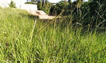 Imagem 3: Registro - Terreno Padrão - Jardim Lebrom