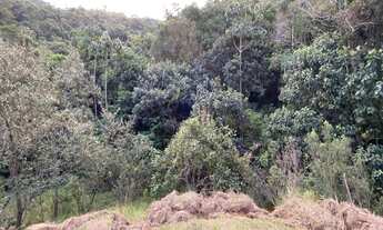 Imagem 4: São 3 terrenos a 3 km do centro de Piracaia - SP