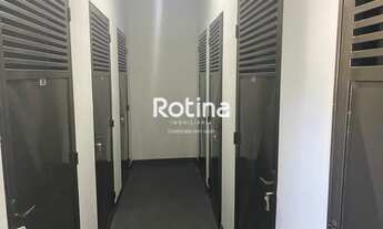 Imagem 5: Apartamento para aluguel, 3 quartos, 3 suítes, 3 vagas, Jardim Colina - Uberlândia/MG