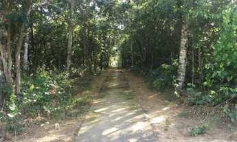 Imagem 5: TERRENO CONDOMÍNIO MANSÕES MORUMBI COM ÁREA DE 3.137,50