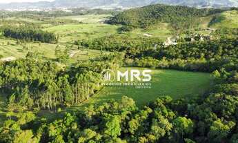 Imagem 4: Sítio à venda com 8 hectares em Canelinha/SC