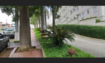 Imagem 4: Apartamento para aluguel tem 49 metros quadrados com 2 quartos em Vila Alzira - São Paulo