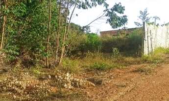 Imagem 7: 1M Lote/Terreno para venda com 999 metros quadrados em Mato Dentro - Mairiporã - São Paulo