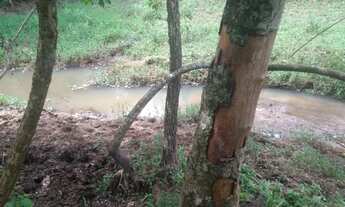 Imagem 5: Ótima chácara em Guapó!!