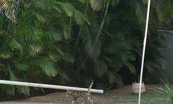 Imagem 4: Casa de condomínio térrea para venda com 320 metros quadrados com 4 quartos