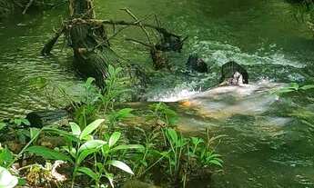 Imagem 6: Chácara em Jaraguari