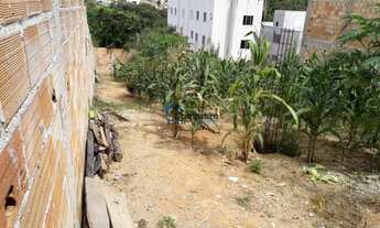 Imagem 4: Lote para comprar Europa Contagem