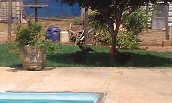 Imagem 7: Edícula para Venda em Araras, Jardim São João, 3 dormitórios, 1 suíte, 4 banheiros, 5 vaga