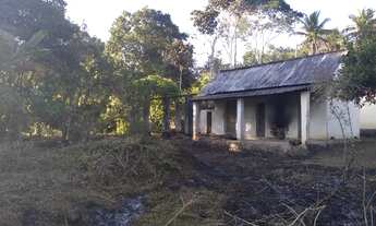 Imagem: Fazenda 24 hectares