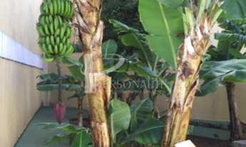 Imagem 4: Excelente Sobrado à venda em Condomínio, 108 m², 2 suítes, 2 vagas, Piscina - Vila Santa C