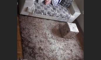 Imagem 2: CASA ASSOBRADADA - VILA FLORESTA - SP