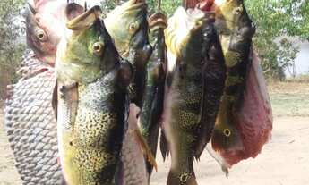 Imagem 5: Brazil Imobiliária Vende Chácara Escriturada as Margens do Corumbá