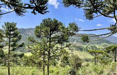 Imagem 6: Chácara em Urubici