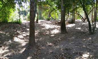 Imagem 6: Fazenda/Sítio/Chácara para venda tem 2500 metros quadrados com 1 quarto