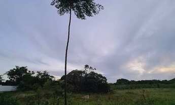 Imagem 6: Terreno Jurerê Internacional