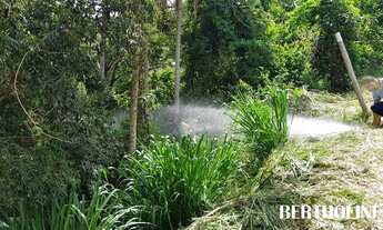 Imagem 7: PENEDO - Terreno Padrão - Penedo