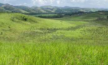 Imagem: G15-Vendo terreno de 5,000m2 com excelente