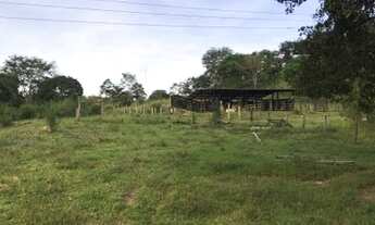 Imagem 13: Sítio 5 alqueires Petrolina de Goiás ( chácara