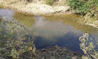 Imagem 6: Ótima terra em Aragoiânia..!!