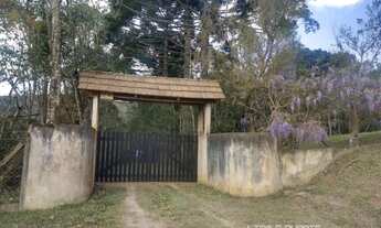 Imagem 7: Terreno para Venda em Brasília São Bento do Sul-SC