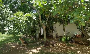 Imagem 6: Térrea para venda com 200 metros quadrados com 3 quartos em Ipitanga - Lauro de Freitas