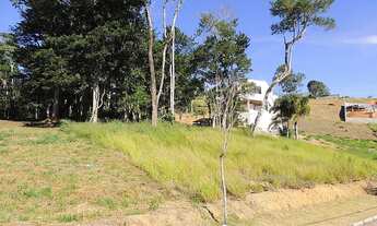 Imagem 5: Ref.: 9123 - Lote ou Terreno - Salvaterra