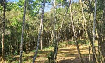 Imagem 6: Oportunidade única. 20.000m2 348.520