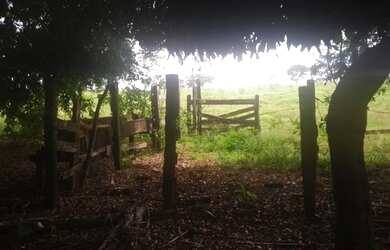 Imagem 6: Ótima chácara em Guapó!!