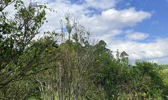 Imagem 6: Sitio em São Brás do Suaçuí - MG