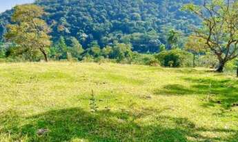 Imagem 3: R11- Vendo terreno proximo ao asfalto