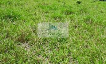 Imagem 5: Pedro Afonso - Fazenda - Rural