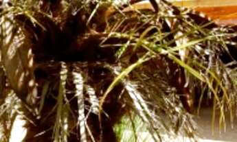 Imagem: Casa excelente localização