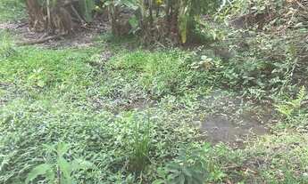 Imagem 6: Chácara com 2 dormitórios à venda, 7500 m² por R$ 450.000,00 - Agudo dos Frias - Bragança