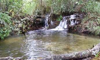 Imagem 3: Fazenda/Sítio/Chácara para venda Rondonópolis MT