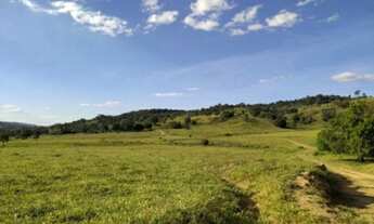 Imagem 2: VENDO FAZENDA COM 83 HECTARES