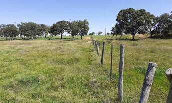 Imagem 6: Fazenda/Sítio/Chácara para venda com 4700000 metros quadrados com 3 quartos