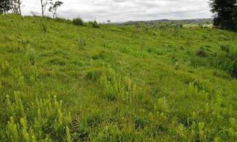 Imagem 8: Terreno Rural para Venda, 64.493,00 m², São Bento do Sul / SC, bairro Alpino