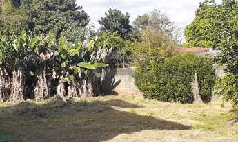 Imagem 2: Terreno - Chácara Primavera - Campinas