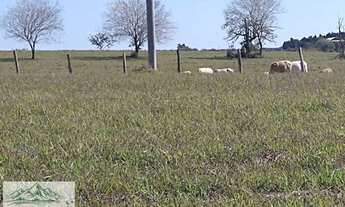 Imagem 2: Terreno Rural para Venda em Porangaba, RURAL