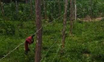 Imagem: Vendo terreno na barreira