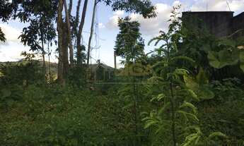 Imagem 6: Lote / Terreno em Vargem Grande - Nova Friburgo