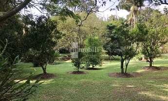 Imagem 3: MAGNIFICA CASA TÉRREA