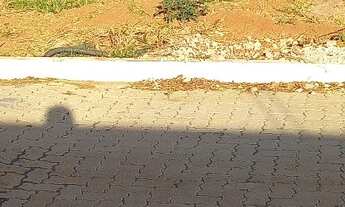 Imagem 4: Lote de 800 metros quadrados ponte alta do gama