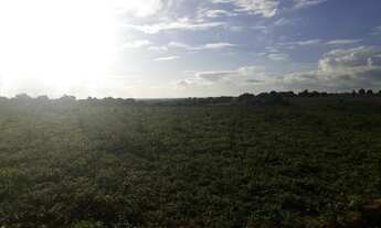 Imagem 6: Linda Fazenda com 25 hectares na região de boa saúde