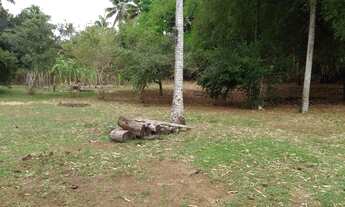 Imagem 5: Sítio pronto Itacimirim Barra do Pojuca